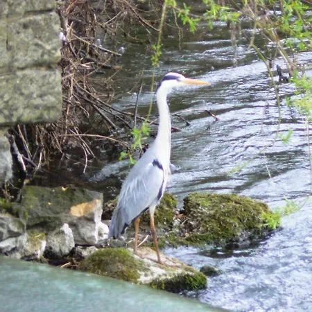 D'hôtes Du Moulin De Landonvillers Couette-café 3*