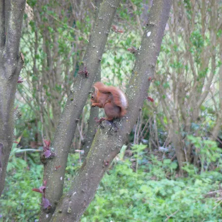 D'hôtes Du Moulin De Landonvillers Couette-café