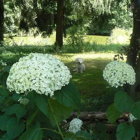 D'hotes Du Moulin De Landonvillers Bed & Breakfast Courcelles-Chaussy