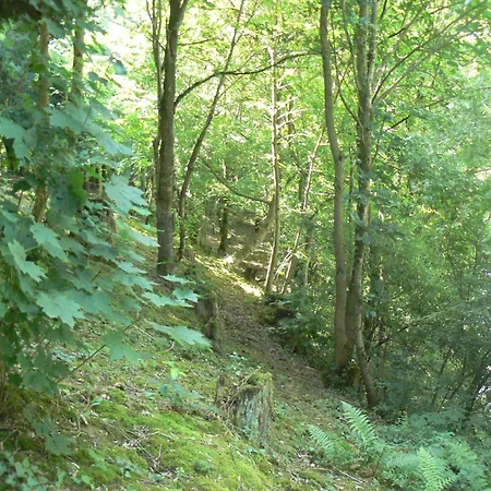 Bed & Breakfast D'hotes Du Moulin De Landonvillers Courcelles-Chaussy