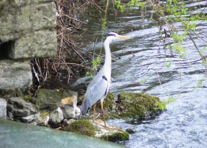 D'hotes Du Moulin De Landonvillers Bed & Breakfast 3*