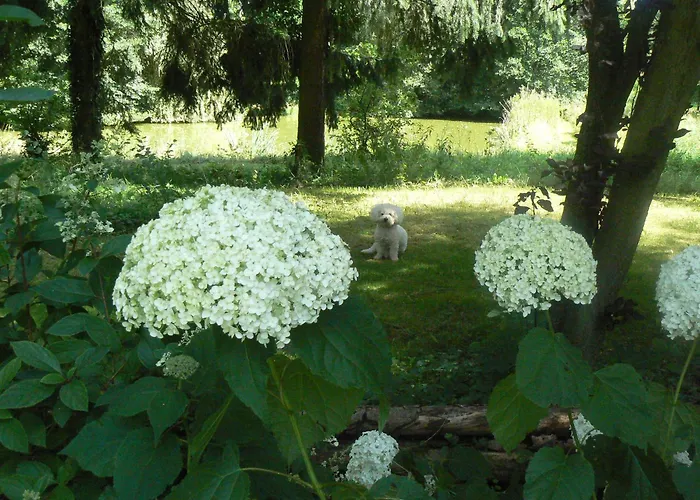 D'hotes Du Moulin De Landonvillers Bed & Breakfast Courcelles-Chaussy