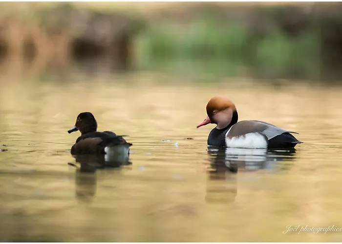 D'hotes Du Moulin De Landonvillers 3*